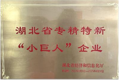2022年湖北省专精特新小巨人企业