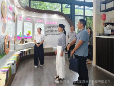 政企校深度联动 赋能产学研融合 ——黄石经济技术开发区党工委委员、铁山区委常委、统战部部长丁春华一行莅临紫鑫生物调研座谈